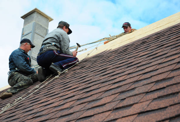 Best Metal Roofing Contractor  in Calvert, TX